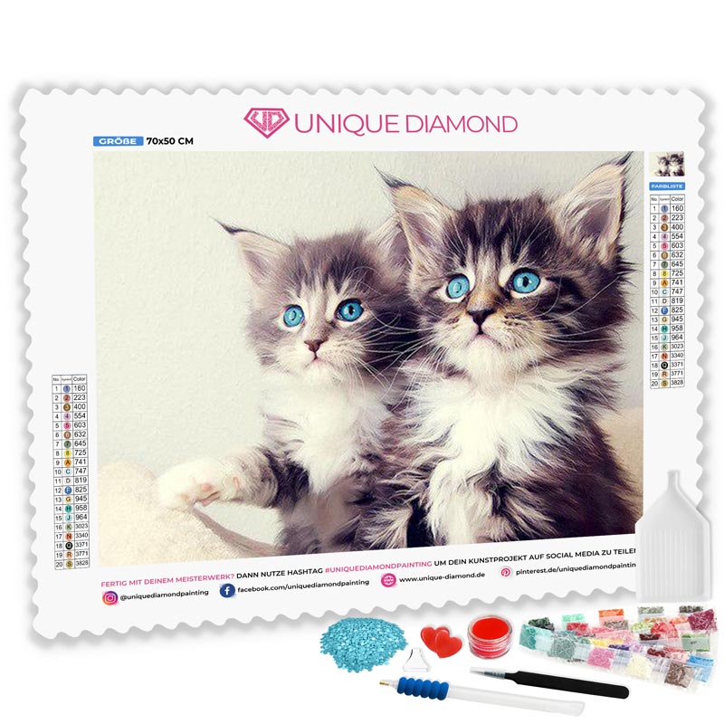 5D Diamond Painting Katzen mit blauen Augen - Unique-Diamond