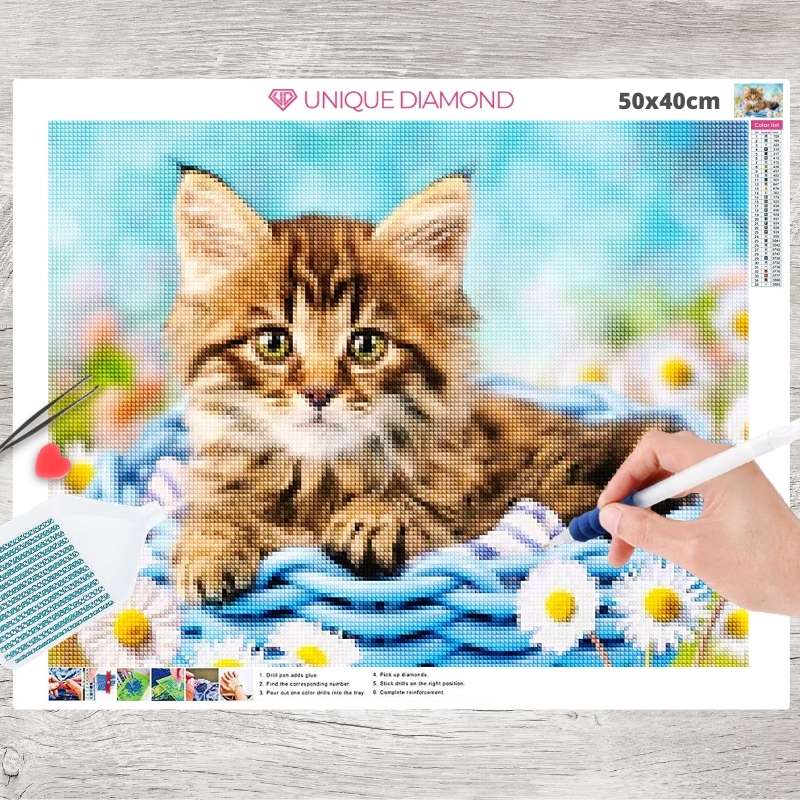 5D Diamond Painting kleine süße Katze - Unique-Diamond