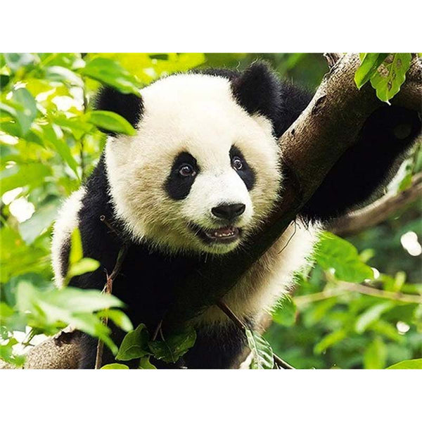 5D Diamond Painting Panda im Wildnis - Unique-Diamond