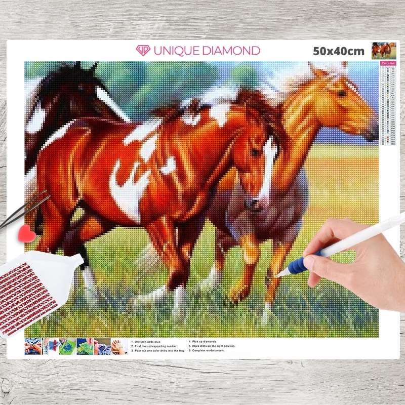 5D Diamond Painting Pferde auf der Wiese - Unique-Diamond