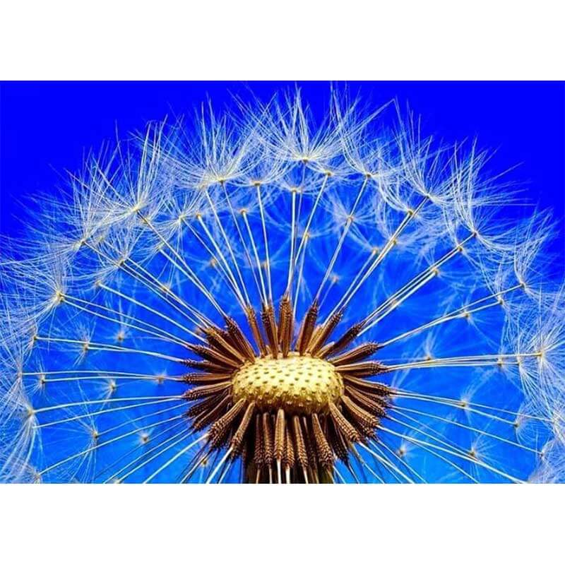 5D Diamond Painting Pusteblume - Unique-Diamond