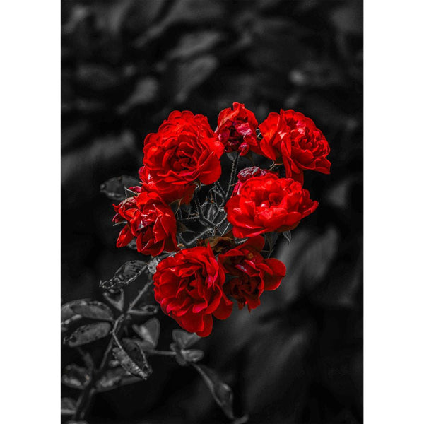5D Diamond Painting Red Rose - Unique-Diamond