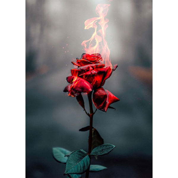 5D Diamond Painting Rote Rose in Flammen - Unique-Diamond