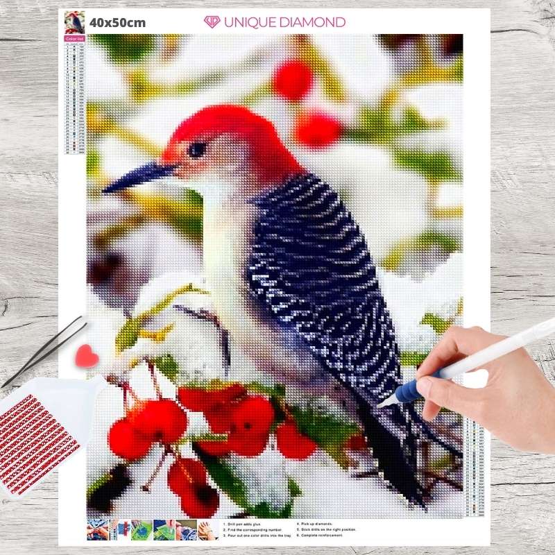 5D Diamond Painting Specht Vogel - Unique-Diamond