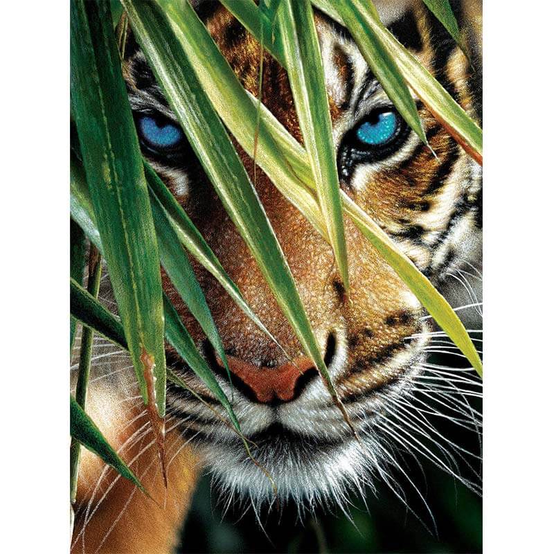 5D Diamond Painting Tiger im Wildnis - Unique-Diamond