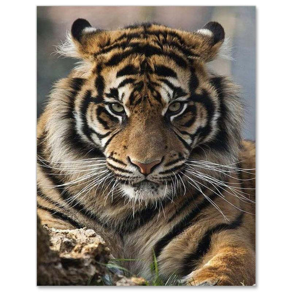 5D Diamond Painting Tiger Portrait - Unique-Diamond