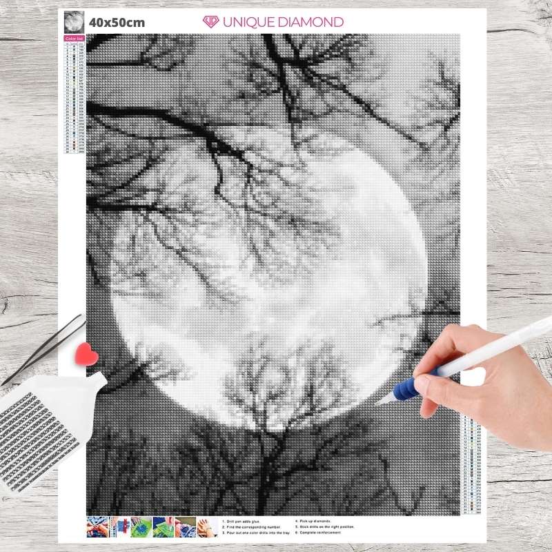5D Diamond Painting Vollmond Schwarz Weiß - Unique-Diamond