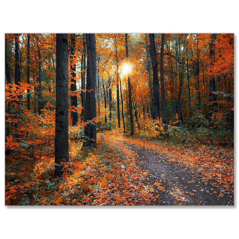 5D Diamond Painting Waldweg im Herbst - Unique-Diamond