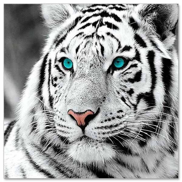 5D Diamond Painting Weißer Tiger mit Neon Augen - Unique-Diamond